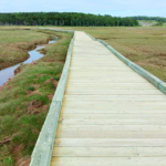 Irving Nature Park